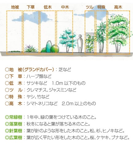 お庭の植栽について ホンカ ダイレクト東京blog