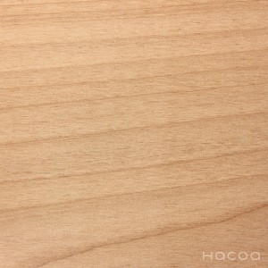 ログハウス　ホンカ　木材アルダー