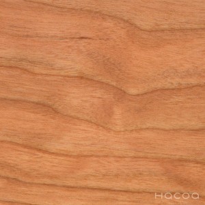 ログハウス　ホンカ　木材ブラックチェリー