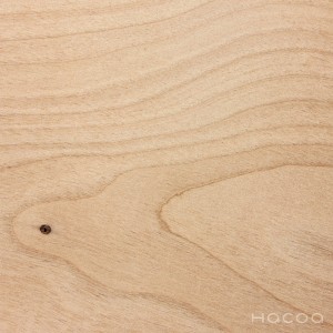 ログハウス　ホンカ　木材栗